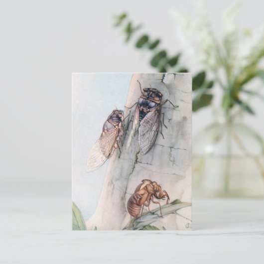 CICADA 2 BRIEFKAART (Staand voorkant)