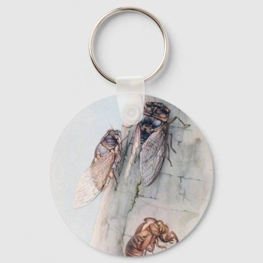 CICADA 2 SLEUTELHANGER (Voorkant)