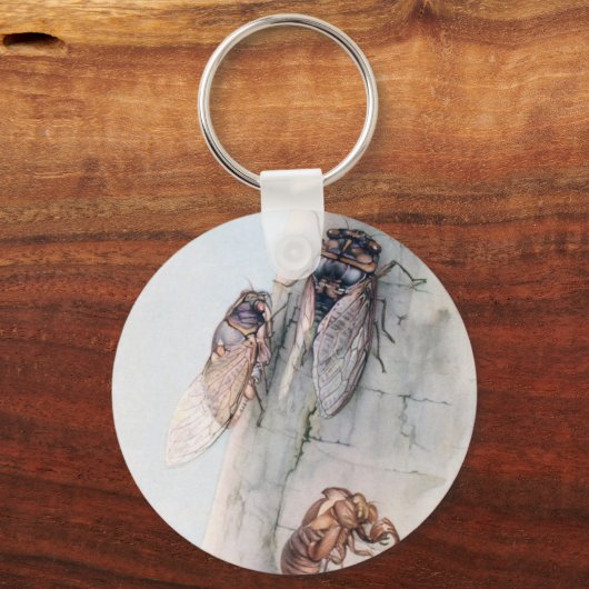 CICADA 2 SLEUTELHANGER (Voorkant)