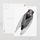 Cicada Briefkaart (Voorkant / Achterkant)