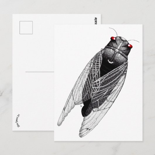 Cicada Briefkaart (Voorkant / Achterkant)