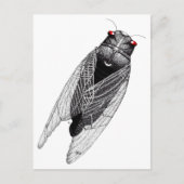 Cicada Briefkaart (Voorkant)