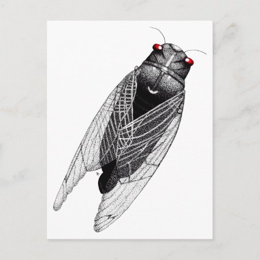 Cicada Briefkaart (Voorkant)