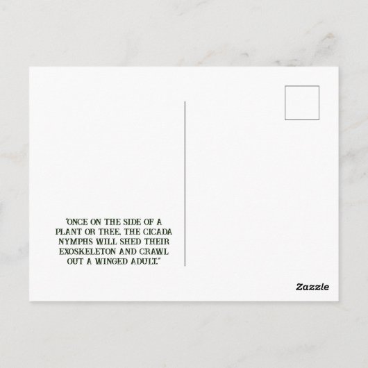 Cicada - Briefkaart (Achterkant)