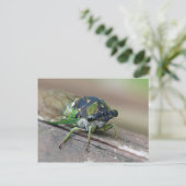Cicada Briefkaart (Staand voorkant)