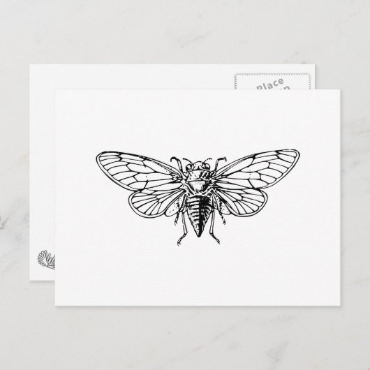 Cicada Briefkaart (Voorkant / Achterkant)