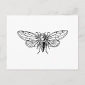 Cicada Briefkaart (Voorkant)