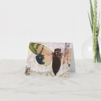 Cicada-briefkaart Kaart