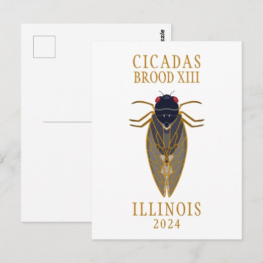 Cicada Brood XIII ILLINOIS 2024 Aangepaste tekst Briefkaart (Voorkant / Achterkant)