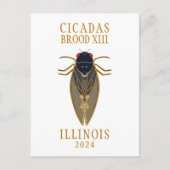 Cicada Brood XIII ILLINOIS 2024 Aangepaste tekst Briefkaart (Voorkant)