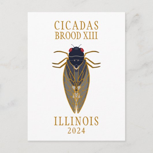 Cicada Brood XIII ILLINOIS 2024 Aangepaste tekst Briefkaart (Voorkant)