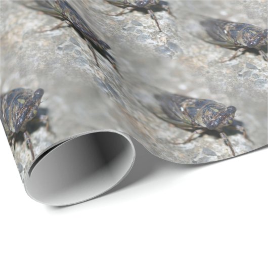 Cicada Bug Face Natuur Pattern   Cadeaupapier (Rol Hoek)