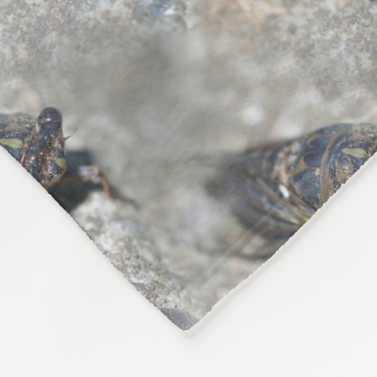 Cicada Bug Face Natuur Pattern Fleece Deken (Hoek)