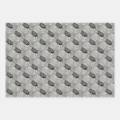 Cicada Bug Face Natuur Pattern Inpakpapier Vel (Voorkant 2)