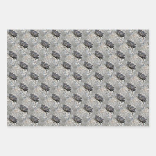 Cicada Bug Face Natuur Pattern Inpakpapier Vel (Voorkant 2)