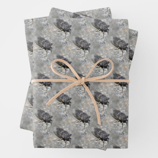 Cicada Bug Face Natuur Pattern Inpakpapier Vel (In situ)