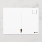 Cicada Bug Insect Foto Aangepast bericht Briefkaart (Achterkant)