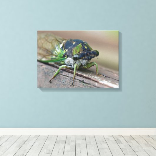 Cicada Canvas Afdruk (Insitu (Houten vloer))