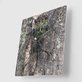 Cicada Clock Vierkante Klok (Hoek)