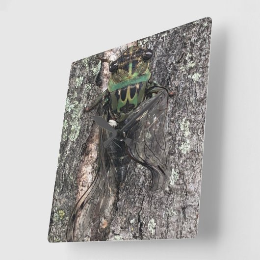 Cicada Clock Vierkante Klok (Hoek)