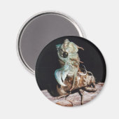 Cicada Emerging from Shell Magneet (Voorkant / Achterkant)