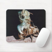 Cicada Emerging from Shell Muismat (Met muis)