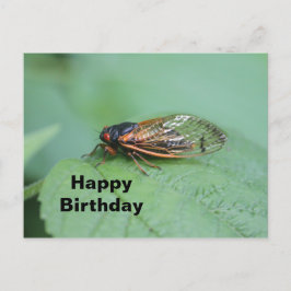 Cicada Foto Verjaardag Briefkaart
