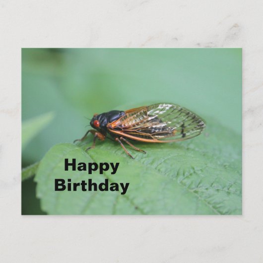 Cicada Foto Verjaardag Briefkaart (Voorkant)