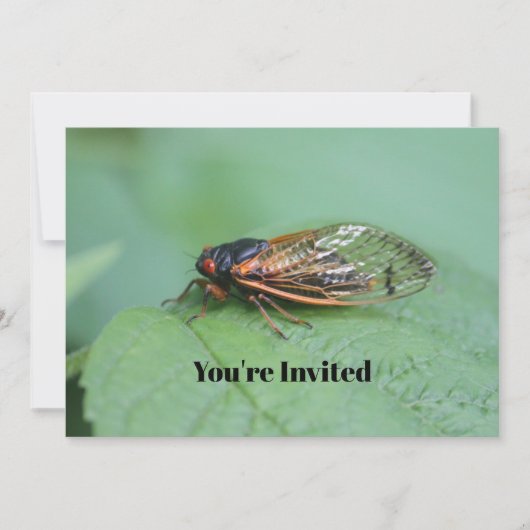 Cicada Foto Verjaardag Kaart (Voorkant)