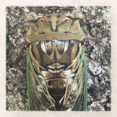 Cicada Glazen Onderzetter (Voorkant)