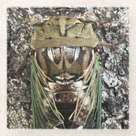 Cicada Glazen Onderzetter