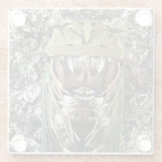 Cicada Glazen Onderzetter (Achterkant)
