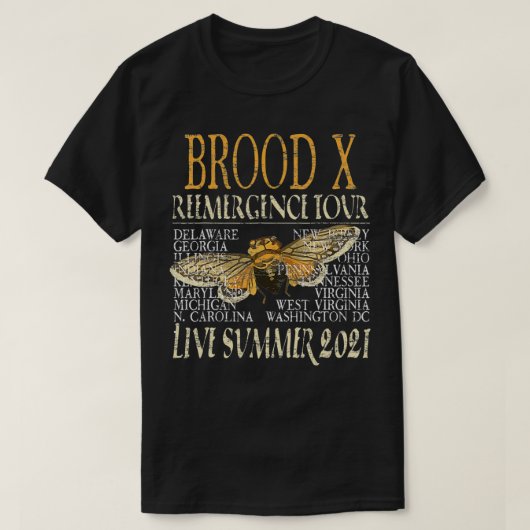 Cicada Insect 17 jaar Brood X Great Eastern Brood T-shirt (Design voorkant)