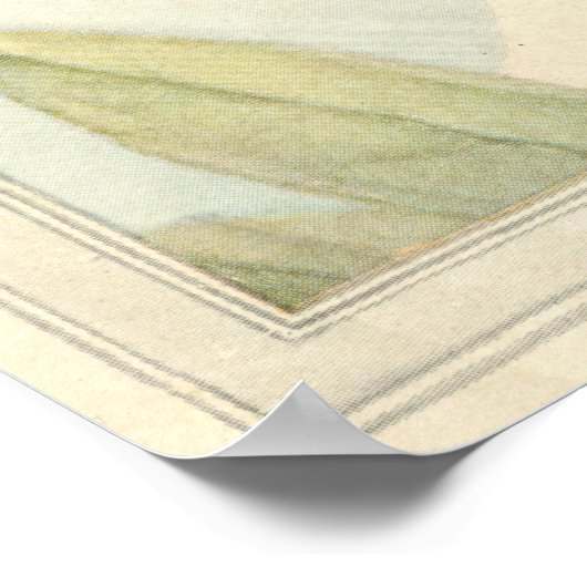 CICADA - Insect Book Illustration Poster (Hoek)