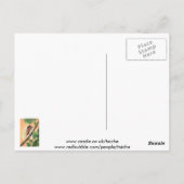 Cicada Insect Illustration Art Briefkaart (Achterkant)