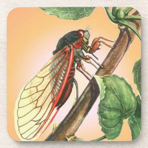 Cicada Insect Illustration Art Drankjes Onderzetter