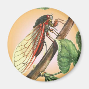 Cicada Insect Illustration Art Magneet