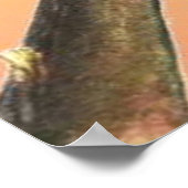 Cicada Insect Illustration Art Poster (Hoek)