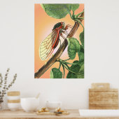 Cicada Insect Illustration Art Poster (Keuken)
