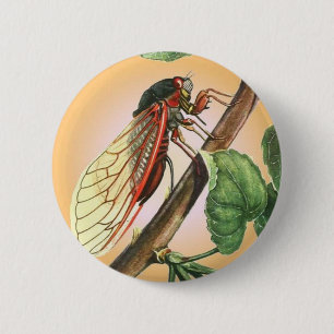 Cicada Insect Illustration Art Ronde Button 5,7 Cm