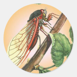 Cicada Insect Illustration Art Ronde Sticker