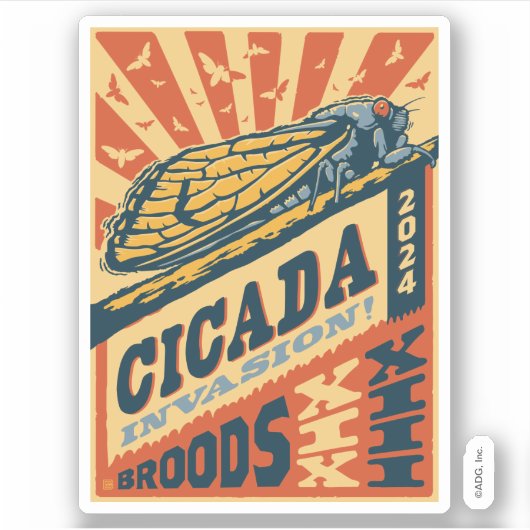 Cicada Invasion 2024 Brief Pers Sticker (Voorkant)