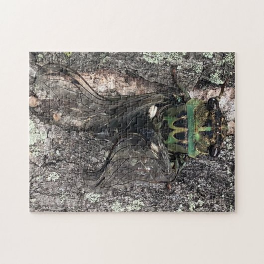 Cicada Jigzaag Puzzle Legpuzzel (Horizontaal)
