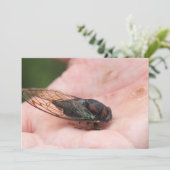 Cicada Kaart (Staand voorkant)