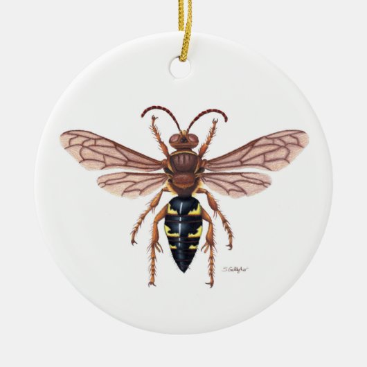 Cicada killer ornament (Voorkant)