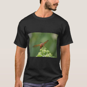 Cicada Killer T-shirt
