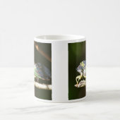 Cicada Koffiemok (Center)