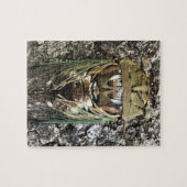 Cicada Legpuzzel (Horizontaal)