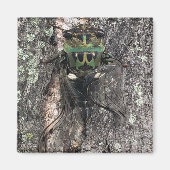 Cicada Magneet (Voorkant)