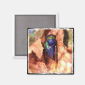 Cicada Magneet (Voorkant / Achterkant)